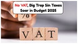 SA Budget 2025: VAT Holds Firm While Sin Taxes See Stealthy Increase