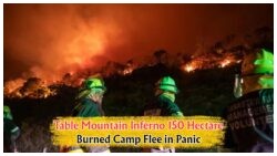Devastating July Wildfire Engulfs 150 Hectares on Table Mountain, Forcing Camps to Close