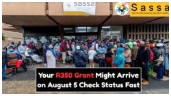Secure Your R350 Payment for 2025: Instantly Verify Your SASSA Status Now
